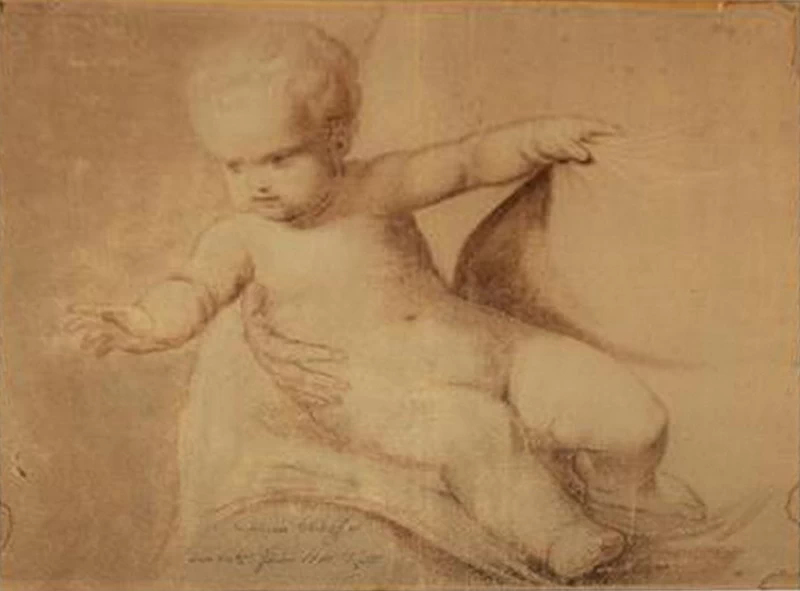 Studio di putto